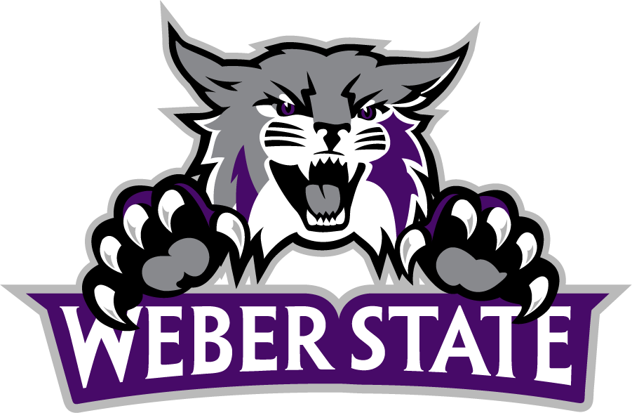 Weber State Wildcats 2012-Pres Secondary Logo v5 t shirts iron on transfers